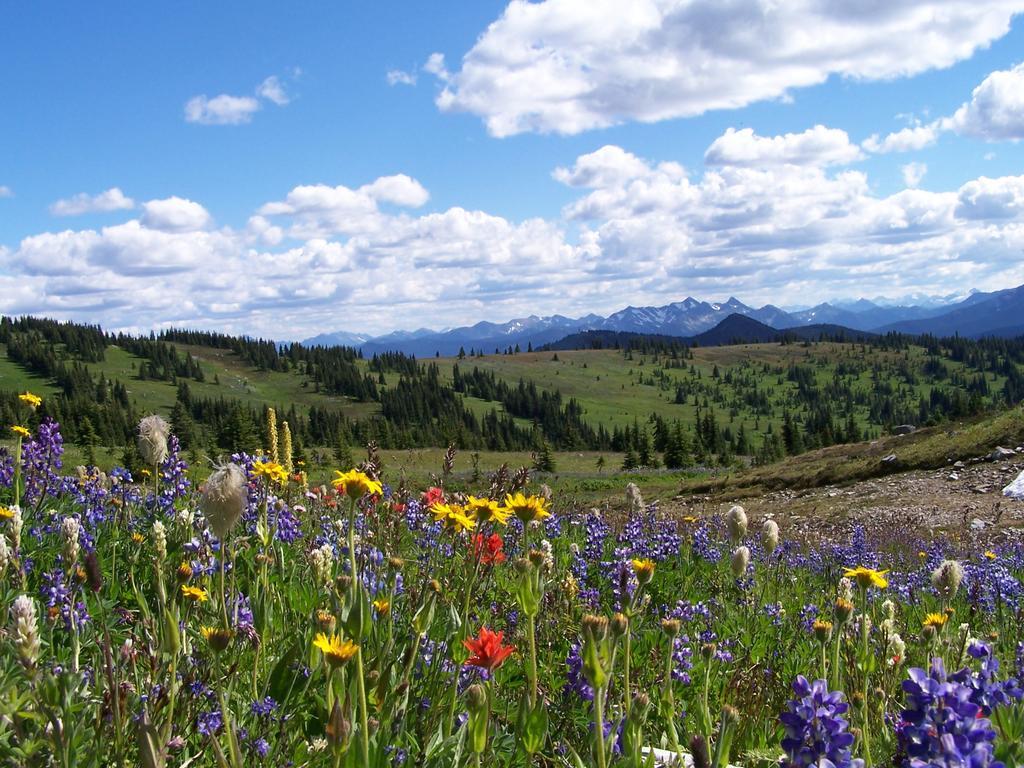 Manning Park Resort מראה חיצוני תמונה